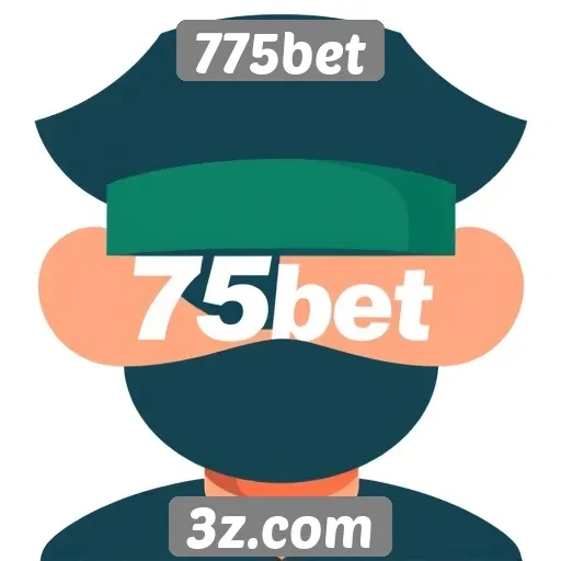 Opções de pagamento disponíveis na plataforma 775bet